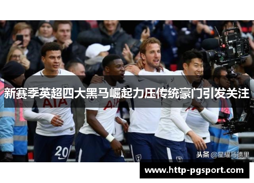 新赛季英超四大黑马崛起力压传统豪门引发关注