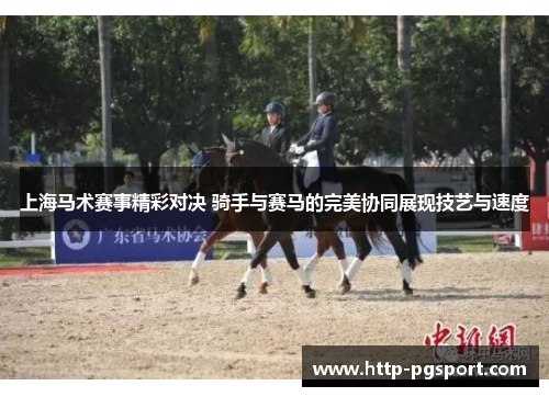 上海马术赛事精彩对决 骑手与赛马的完美协同展现技艺与速度