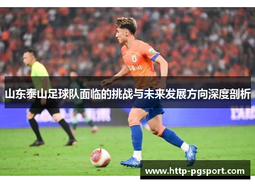 山东泰山足球队面临的挑战与未来发展方向深度剖析
