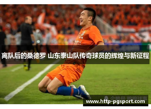 离队后的桑德罗 山东泰山队传奇球员的辉煌与新征程