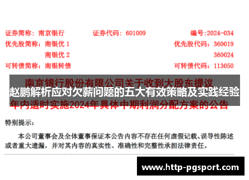 赵鹏解析应对欠薪问题的五大有效策略及实践经验