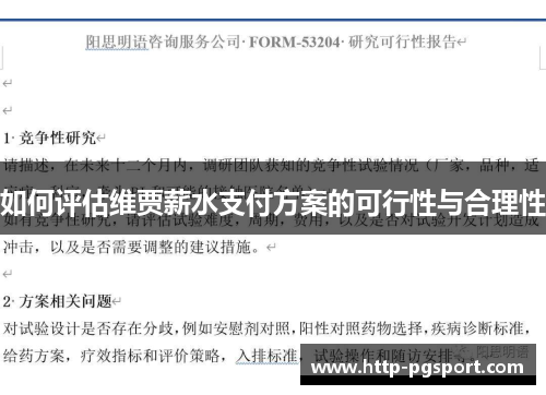 如何评估维贾薪水支付方案的可行性与合理性