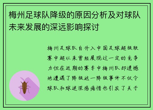 梅州足球队降级的原因分析及对球队未来发展的深远影响探讨